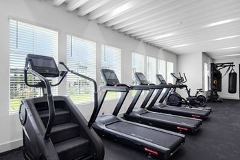 four rows of cardio equipment in a gym with large windows at The Enclave at Deer Moss Creek, Florida, 32578